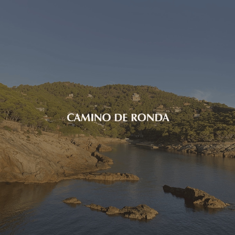 Camino de Ronda