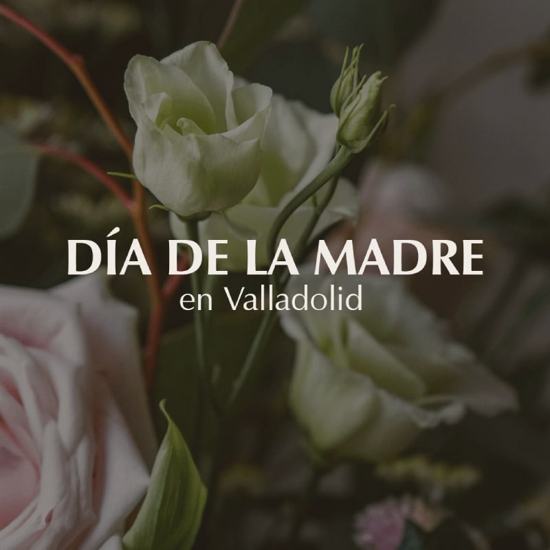 Día de la madre Valladolid