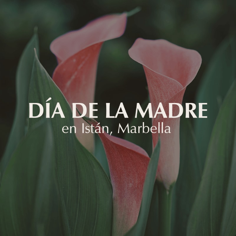 Día de la madre Istán