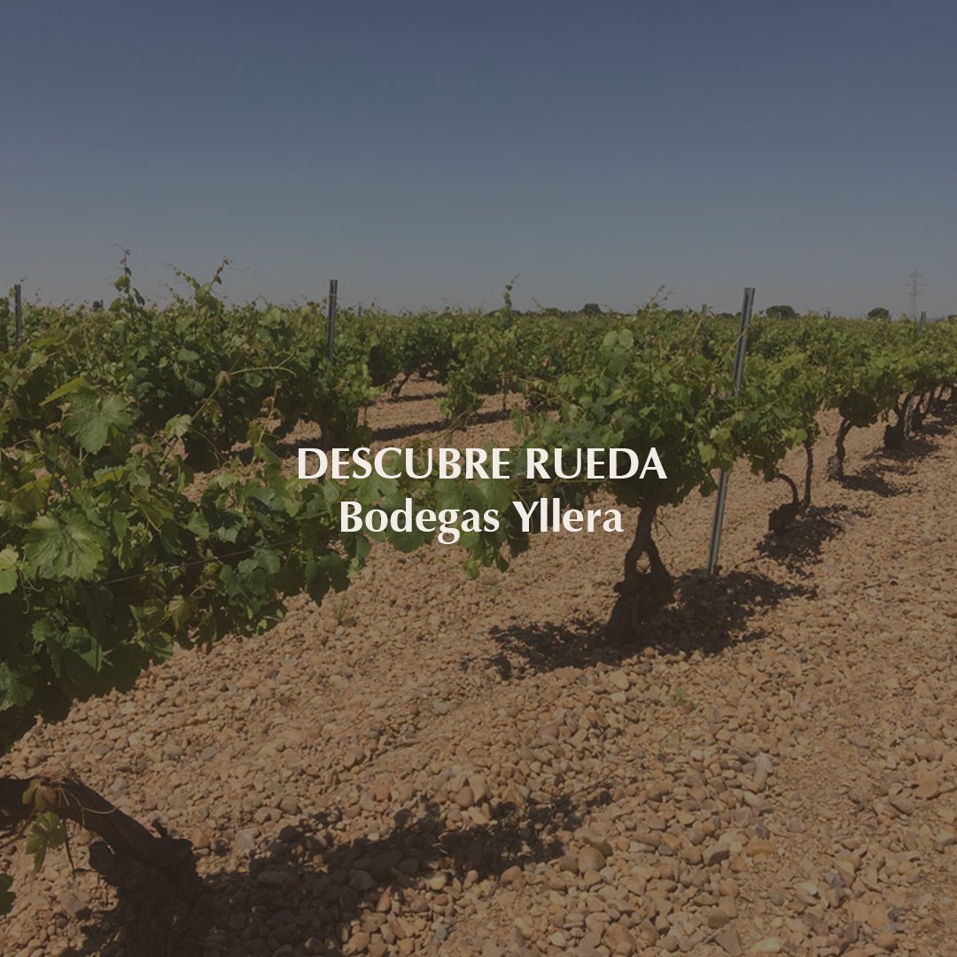 Descubre Rueda